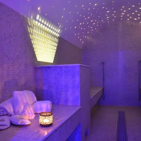 酒店 奥提伽大酒店